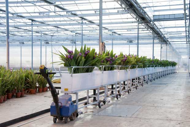 انواع لوله گلخانه ای، کاربردها و قیمت‌های آن