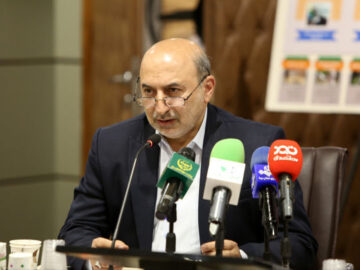 دسترسی به غذای سالم و ارزان از ارکان امنیت غذایی