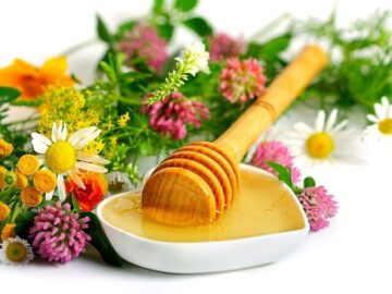 صادرات عسل ایران به ۲۲ کشور جهان