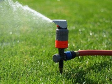 «آب شرب» سهم کشاورزی و صنعت سمنان| مسئولان برنامه‌ای ندارند