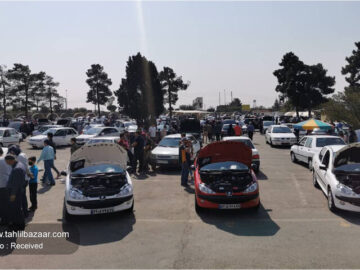 تعیین قیمت خودرو در دنیا چگونه انجام می شود؟| دخالت شورای رقابت زمینه ساز احتکار و افزایش قیمت