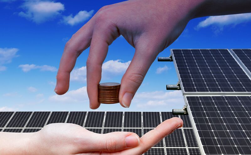 «خاموشی» آفت جدید محصولات کشاورزی| تولید کنندگان خسارت درو میکنند