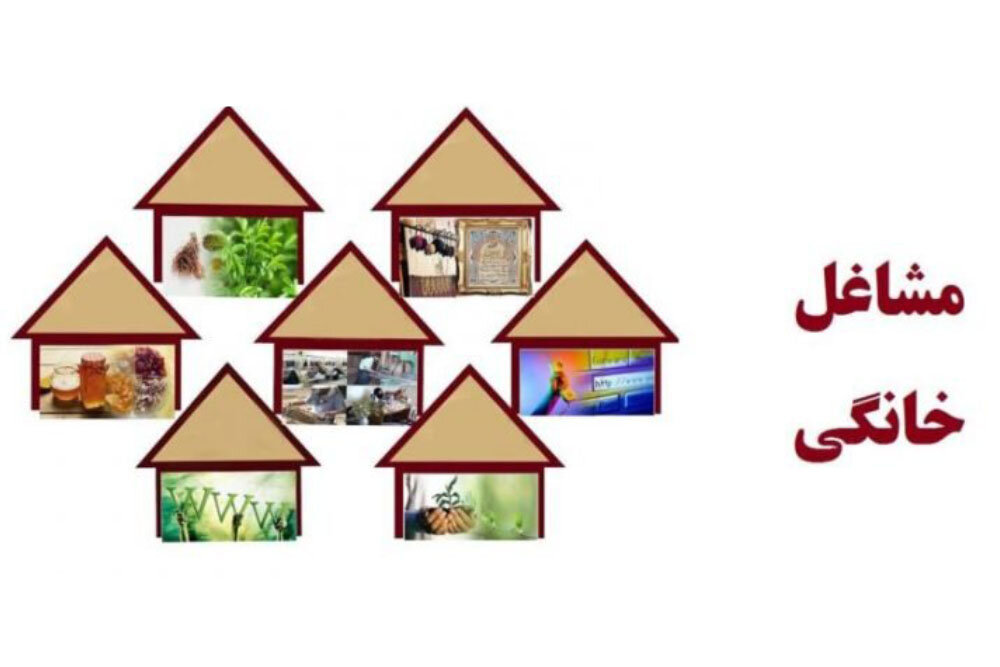 مشاغل خانگی در ایلام پایداری ندارند