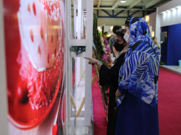 افزایش بهره‌وری در صنعت شیرینی و شکلات با نوسازی ماشین آلات