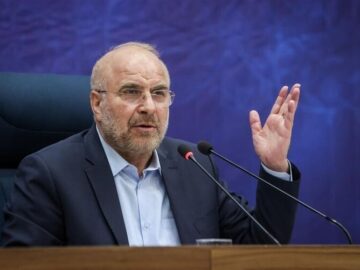 رئیس مجلس به ماجرای معدن رزمجاه ورود کرد