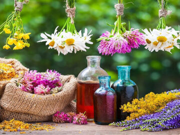 خدمات طب سنتی و نحوه توزیع و نظارت بر داروهای گیاهی ساماندهی می شود