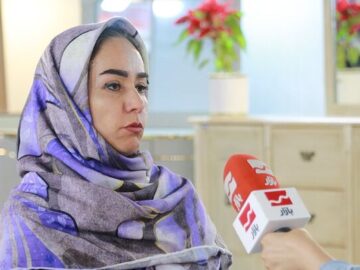 صنایع چوب کشور با نمونه ترک و چینی برابری می کند| انتقاد از نوسان روزانه قیمت مواد اولیه