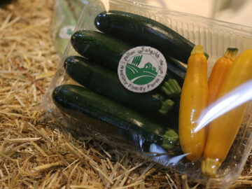 بیش ‌از ۴۰۰ میلیون دلار مواد غذایی به روسیه صادر شد| حضور ایران در نمایشگاه «پروداکسپو» روسیه