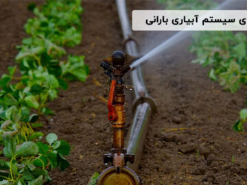 آبیاری قطره ای یا بارانی: کدام روش برای شما مناسب تر است؟