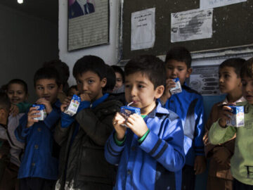توزیع شیر مدارس به ۵۰ نوبت می‌رسد