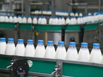 کارخانه های لبنی مازندران روزانه پنج هزار تن شیر نیاز دارند