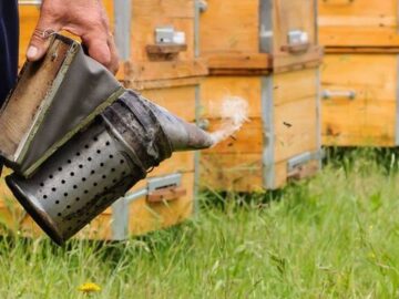 گرانی تجهیزات صنعت زنبورداری و کاهش ۷۰ درصدی تقاضا ظرف یکسال