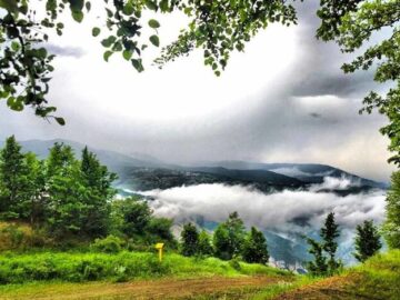 اکوتوریسم صنعت دیرپا و ناشناخته| بی مهری به ناجی اقتصاد ایران