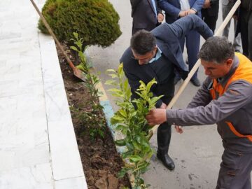 غرس ۲۰ هزار نهال در واحدهای تولیدی یزد