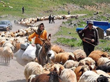 بوم گردی عشایر حلقه گمشده توسعه گردشگری کهگیلویه و بویراحمد/کوچ به توریسم راه می گشاید