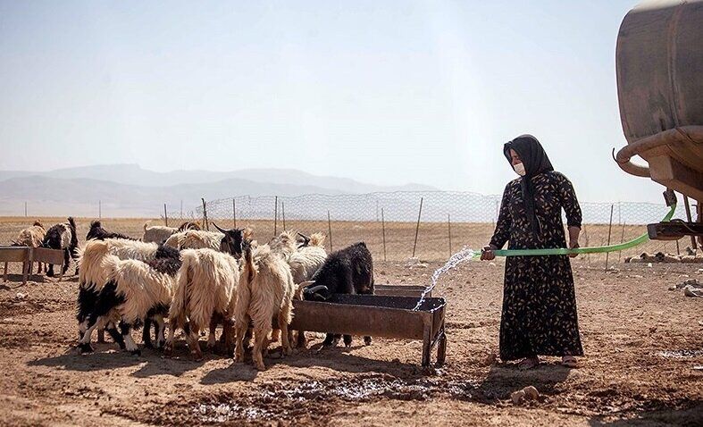 بوم گردی عشایر حلقه گمشده توسعه گردشگری کهگیلویه و بویراحمد/کوچ به توریسم راه می گشاید