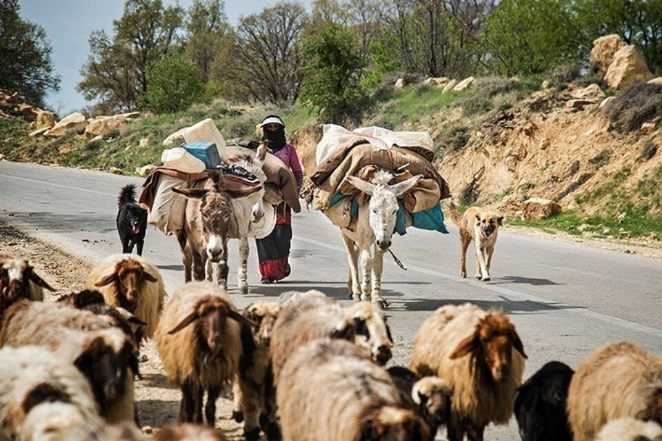 بوم گردی عشایر حلقه گمشده توسعه گردشگری کهگیلویه و بویراحمد/کوچ به توریسم راه می گشاید