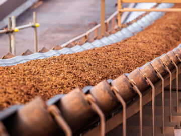 عبور قیمت سنگ آهن از ۱۰۰ دلار در تن تا پایان ۲۰۲۴